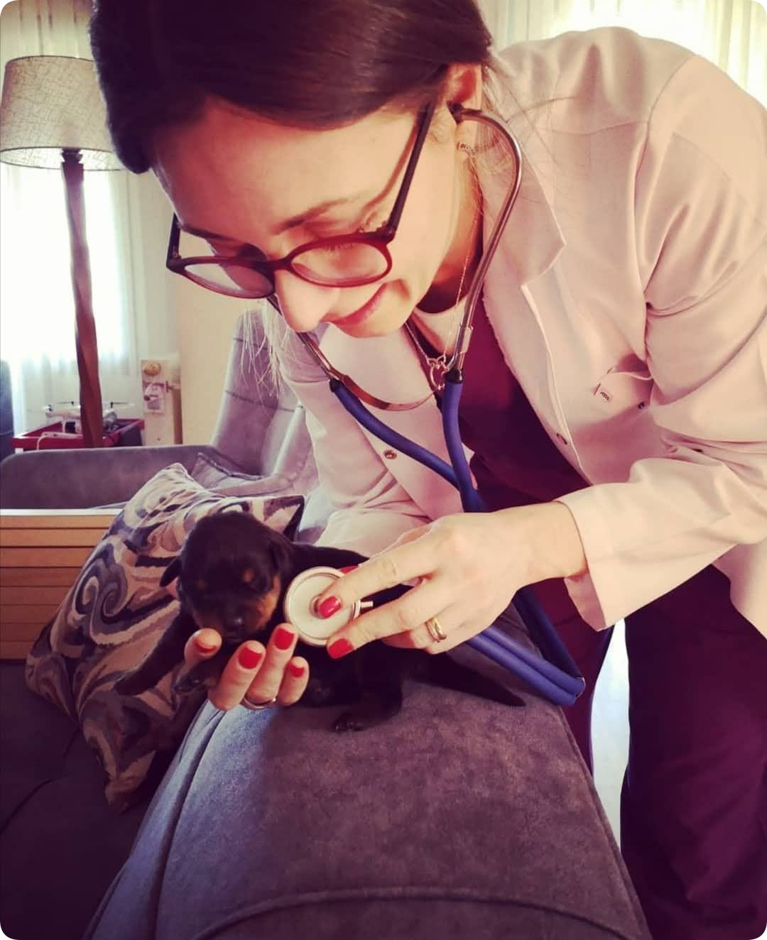 Petklinik Veteriner Kliniği1