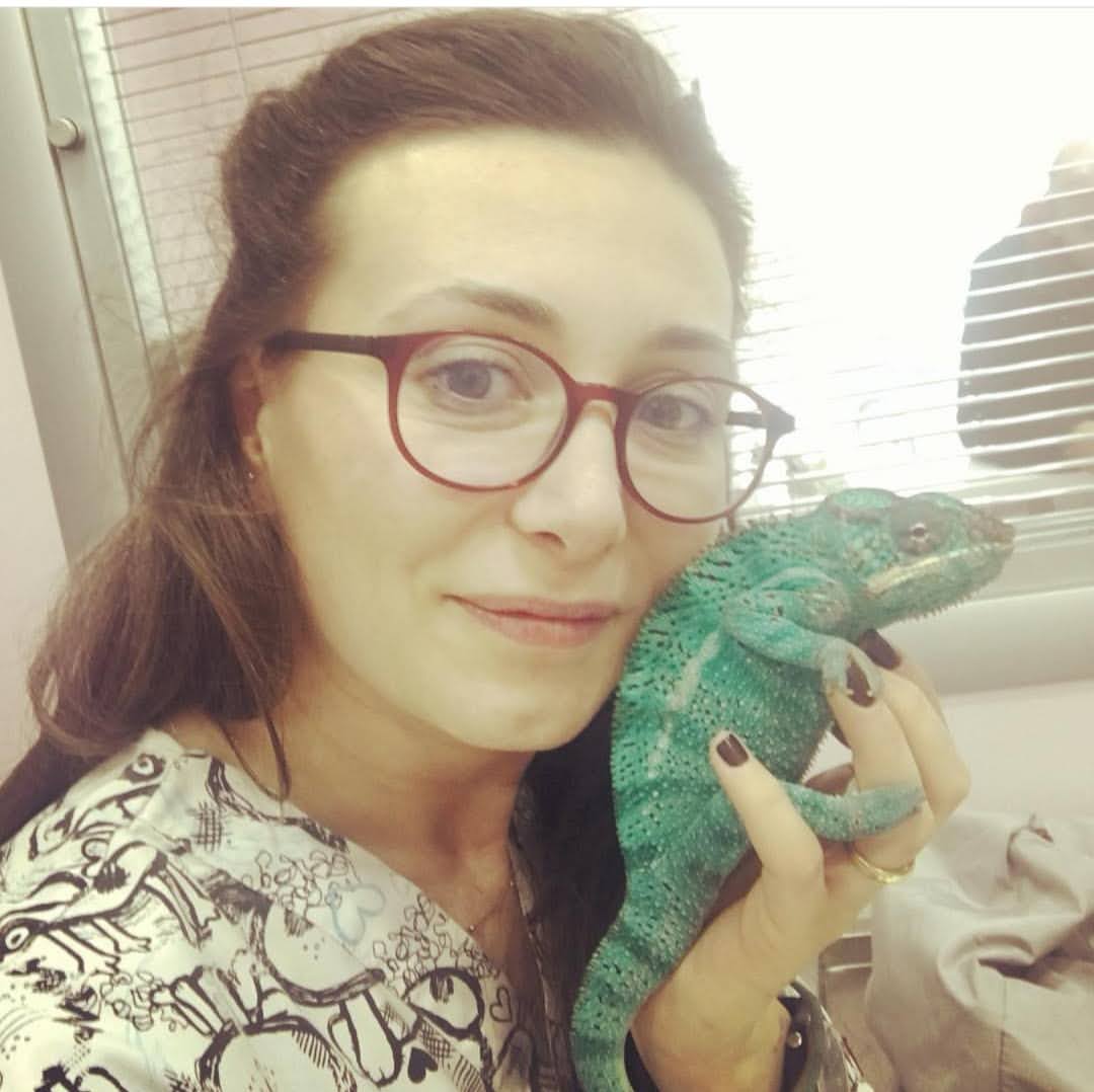 Muayene ( Egzotik ) - Check Up