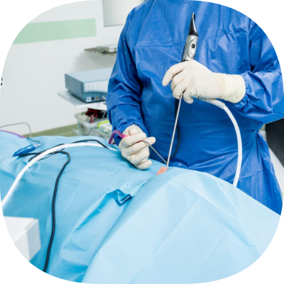 Petklinik Veteriner Kliniği