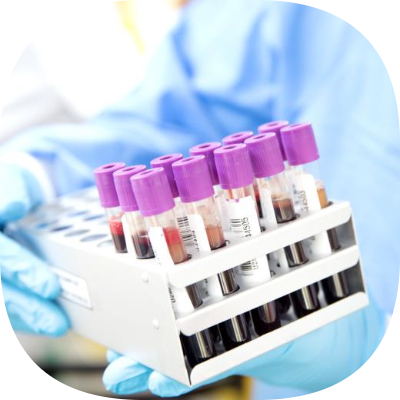 Petklinik Veteriner Kliniği