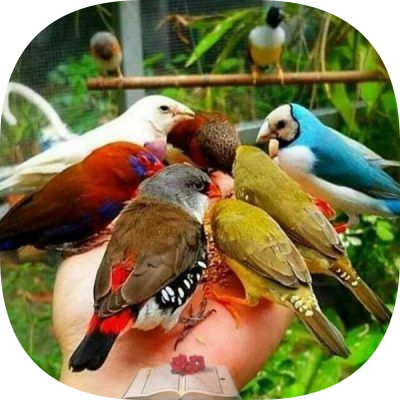 Petklinik Veteriner Kliniği