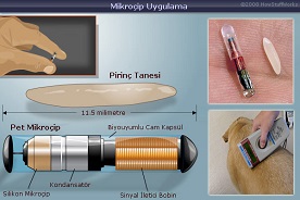 Pet Mikroçip Nedir?