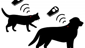 Pet Mikroçip Nedir?